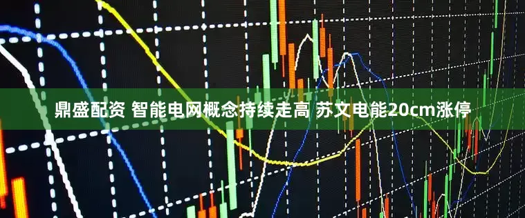 鼎盛配资 智能电网概念持续走高 苏文电能20cm涨停