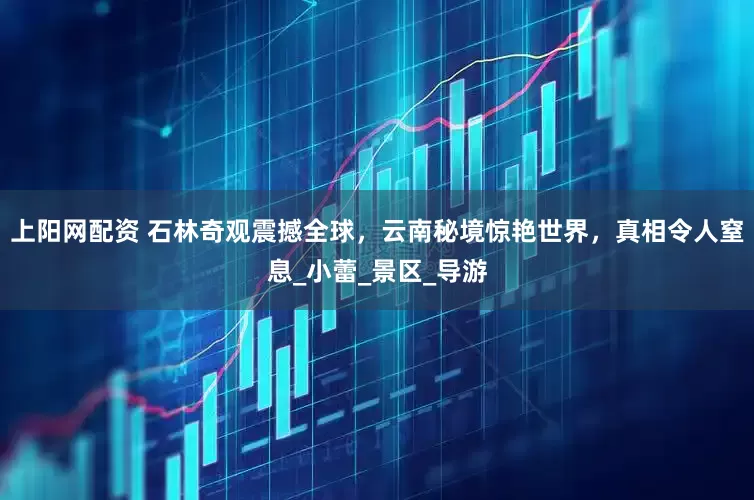 上阳网配资 石林奇观震撼全球，云南秘境惊艳世界，真相令人窒息_小蕾_景区_导游